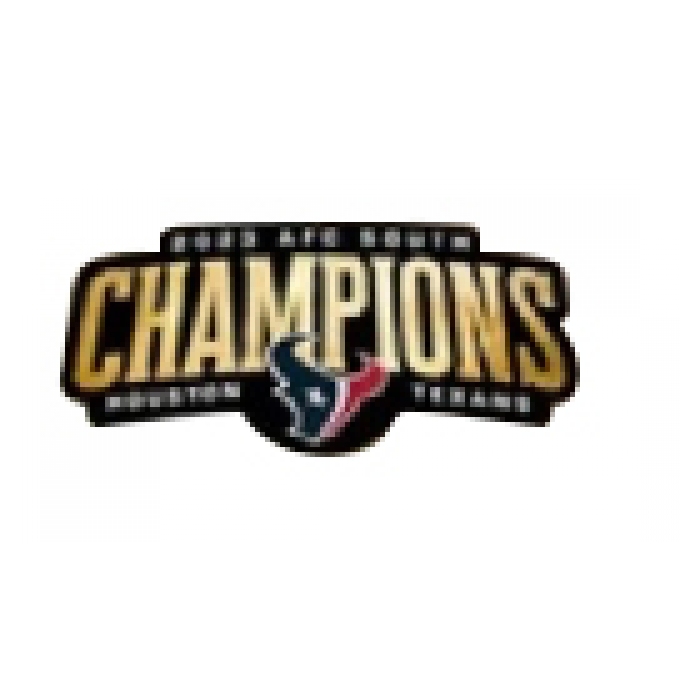 Houston Texans South Champions Patch