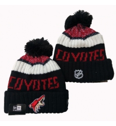 NHL Arizona Coyotes Beanies Hats 2401